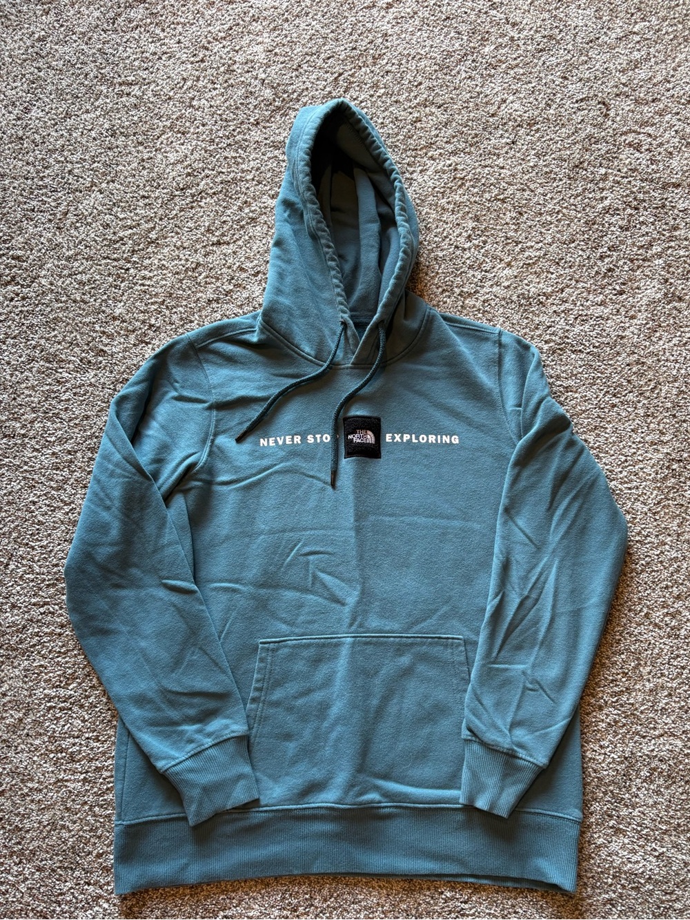 The North Face Teal Pullover Hoodie with Fleece Logo
